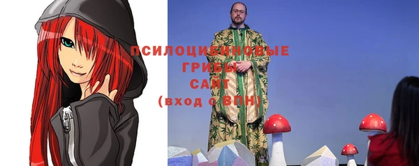 амф Абинск