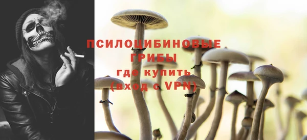 молекула духа Новозыбков