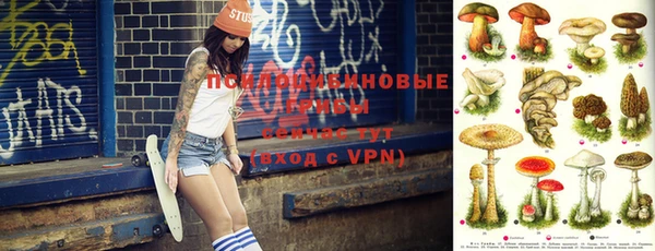 a pvp Новокубанск