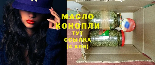 молекула духа Новозыбков